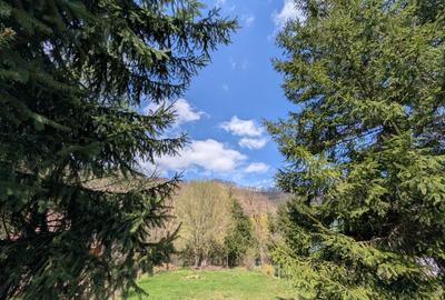 Spațiu comercial, în Someșu Rece - 7