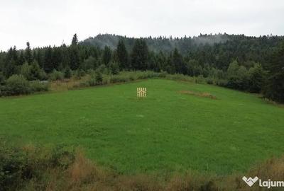 Teren de 5023 mp, în Voroneț - 7