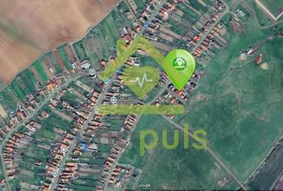 Casa individuala, 7 camere, mobilata ?i utilata Pi?chia ? - 4