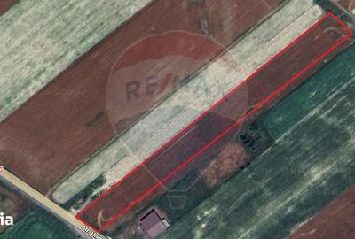 Teren de 12360 mp, în Vulturu - 3