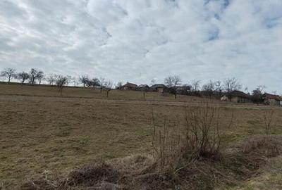 Teren intravilan de vanzare Fa?ca, comuna Varciorog, jude?ul Bihor - 5