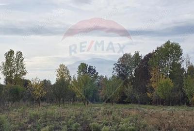 Teren generos cu potential in comuna Silindia, judetul Arad - 8