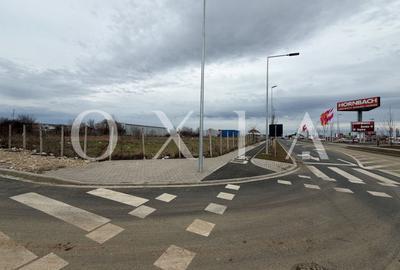 Teren Construcții intravilan de 8063 mp, în Buziașului - 3