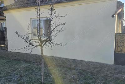 Casă cu 2 camere cu Teren 900 Mp în Covaci - 5
