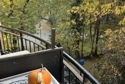 Garsoniera Ultracentral Cismigiu - 7