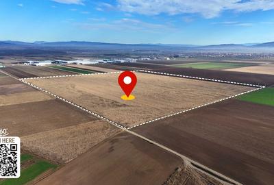 Teren de 324800 mp, în Prejmer - 8