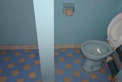 Vand apartament cu 4 camere cu garaj si beci in duplex in Deva, - 14