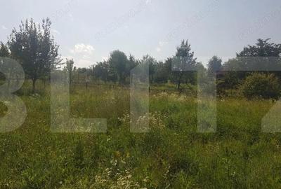 Teren intravilan Campenesti, 11600 mp, 43 ml front, pentru ansamblu de case! - 2