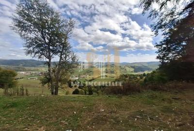 Teren de 40000 mp, în Central - 2