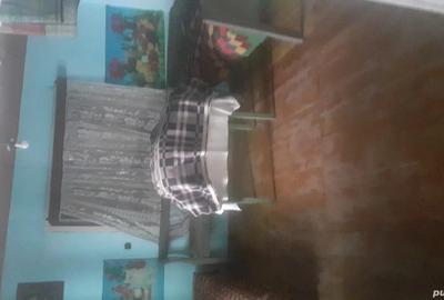 Casa la ?ara de vanzare - 3