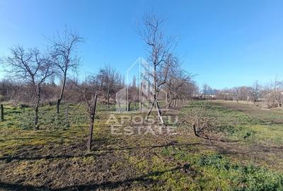 Casă cu 5 camere cu Teren 2158 Mp în Freidorf - 3