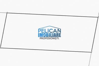 Teren Construcții intravilan de 1000 mp, în Mihail Kogălniceanu - 13