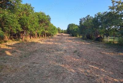 Casă cu 3 camere în Aghireș - 4