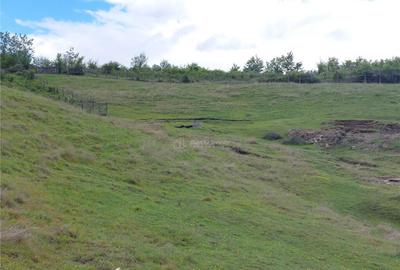 Teren extravilan 10000 mp, com Panatau - 9