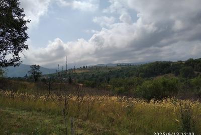 LOC de CASA cu TEREN INTRAVILAN în Banatul de munte. - 4