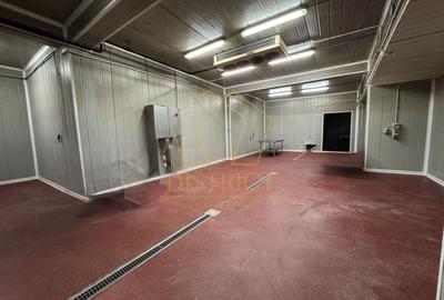 Spațiu industrial, de 1,350 mp, în Dumbrăvița - 7