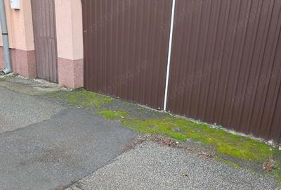 Casa 3 camere,curte, garaj,cartier Elisabetin - 2