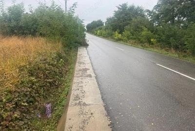 Vanzare 10.000 mp teren Liteni Suceava- la strada -potrivit proiect fonduri - 7