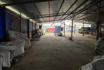 Oferta de vanzare ferma: hala de 500 mp.+teren 6500 mp, Frata, 69900 EURO - 3