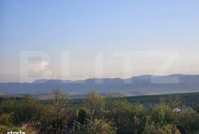 Teren de 1150 mp, în Ciurila - 2