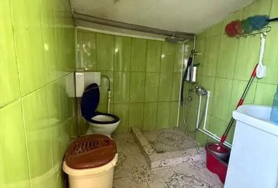 Casă cu 4 camere cu Teren 4382 Mp în Somova - 12