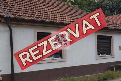 Refugiul la marginea pădurii in Orșova, pe malul Dunării - 1