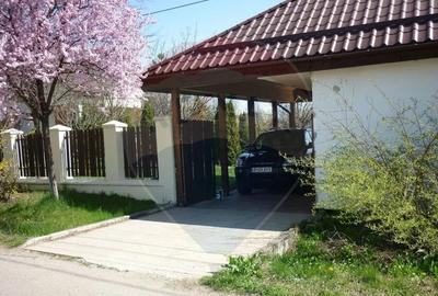 Casă cu 5 camere cu Teren 1922 Mp în Ciofliceni - 5