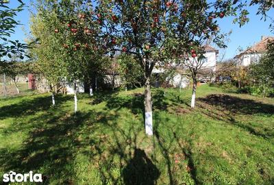 Casă cu 4 camere cu Teren 700 Mp în Central - 4