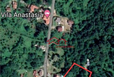 Teren Sacaramb,la20 km deDeva,jud.Hunedoara,comision0 - 6