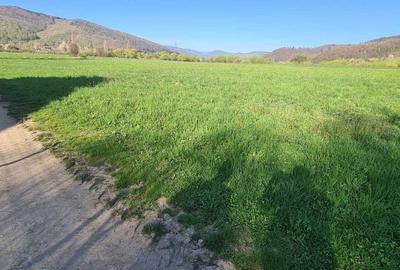 Spațiu comercial, în Central - 5