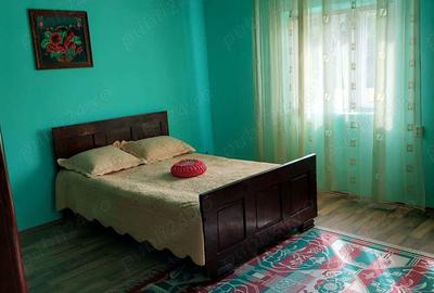 Vand casa mare cu livada, vie, gradina in Fratostita - 6