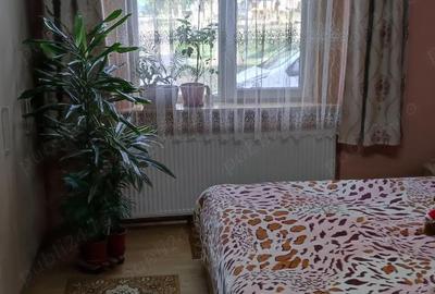 Apartament cu 2 camere decomandat în Lugoj - 5
