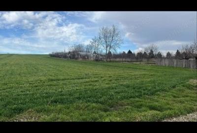 Teren agricol extravilan de 7500 mp, în Lețcani - 3