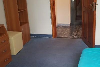 Garsoniera mobilata, cu centrala, la parter, George Bacovia, zona Energiei - 12