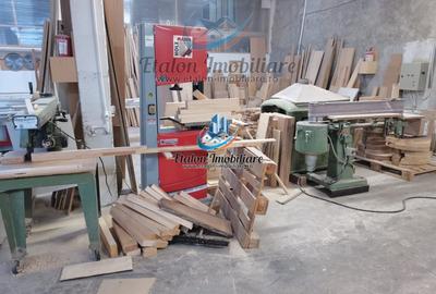 Hala 755 mp, teren 2000 mp, Girov, Judet Neamt - 4