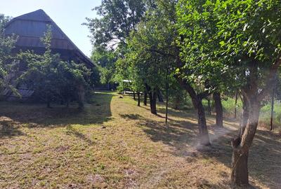 Casa primitoare situata într-o zona foarte frumoasa, liniștită cu pomi fructifer - 8