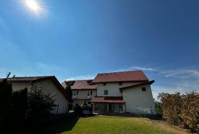 Vind casa mare în Sannicolau Mare - 6