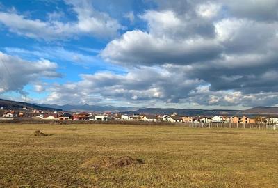 Teren Construcții intravilan de 600 mp, în Cetate - 1