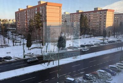 Apartament 2 camere mobilat/utilat LUX - zona Bld.Victoriei - 12