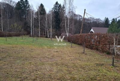 Teren deosebit pozitionat, cu livada, langa padure,  pe Valea Avrigului - 2