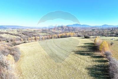 Teren intravilan de 15800 mp, în Tohănița - 7