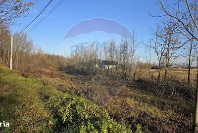 Teren de 10860 mp, în Gălănești - 10