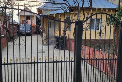 Casă cu Teren 1118 Mp în Dumitrești - 1