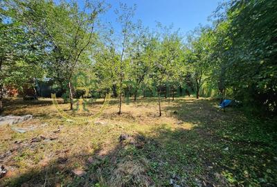 Casă Nucet, 864 mp teren cu pomi fructiferi - la 21 km de Sibiu - 4