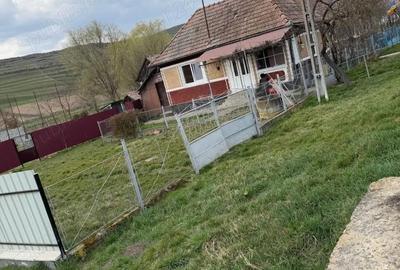 Casă cu 2 camere cu Teren 1200 Mp în Central - 3