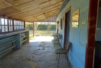 0% COMISION!!! CASA CU LAC IN INIMA PADURII  - DEALU BRADULUI - 13