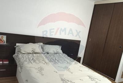 Apartament cu 1 camere de inchiriat in zona Brazda lui ... - 9