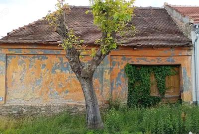 Casă cu Teren 307 Mp în Moldova Veche - 1