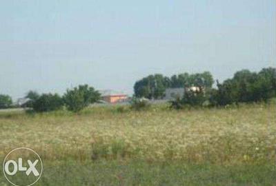 Spațiu comercial, în Copăceni - 1