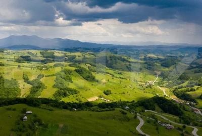 Teren extravilan, 130000 mp (13 hectare), zona turistica, Ramet- Transapuseana
